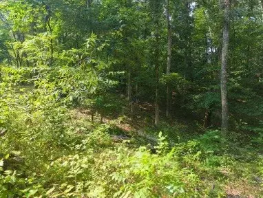 Nunnelly, TN 37137,1346 Elliot Rd