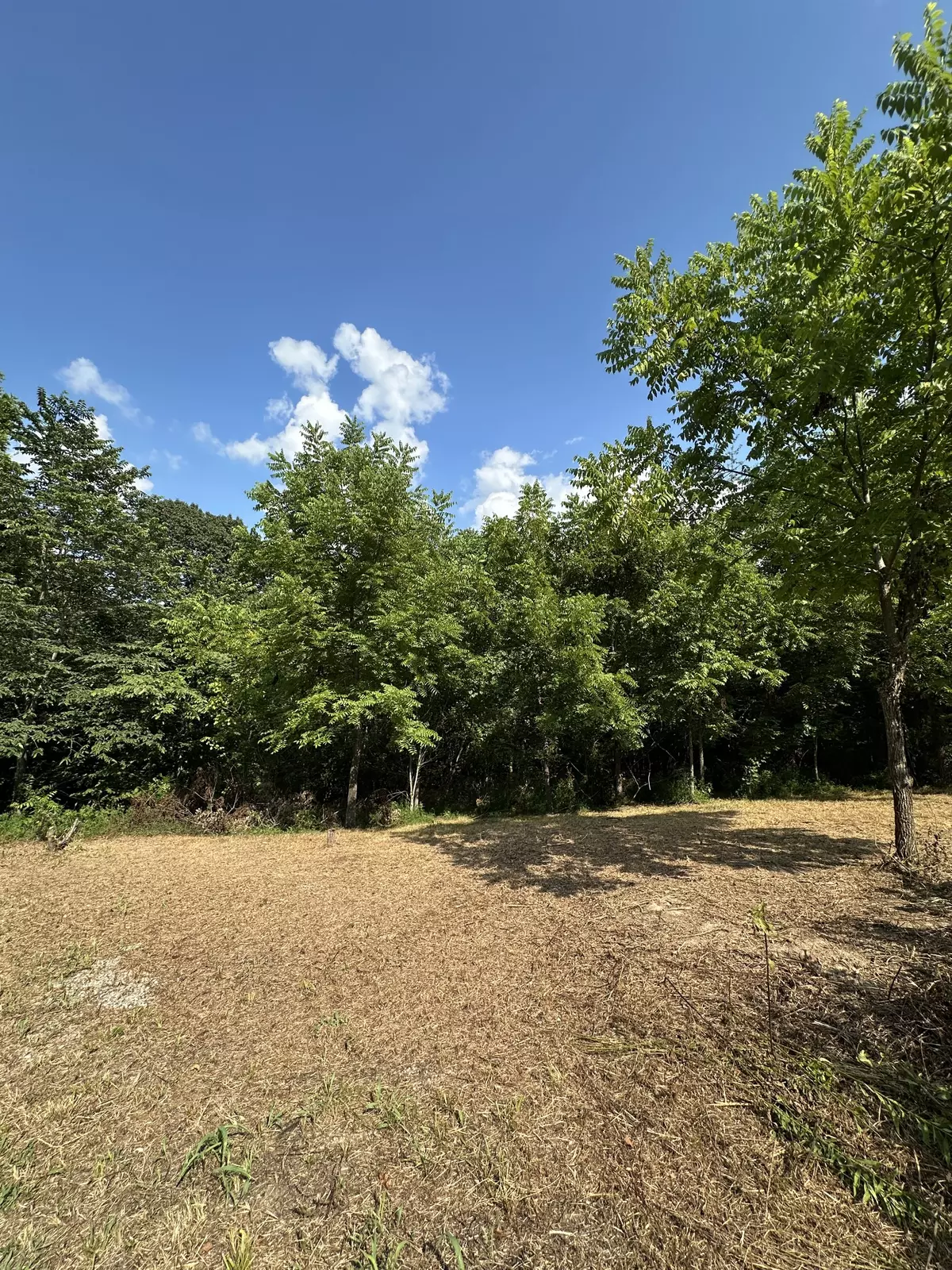 Pleasant View, TN 37146,0 Rustling Oaks Ct