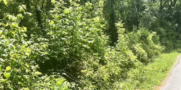 Woodbury, TN 37190,0 ROACH HOLLOW RD
