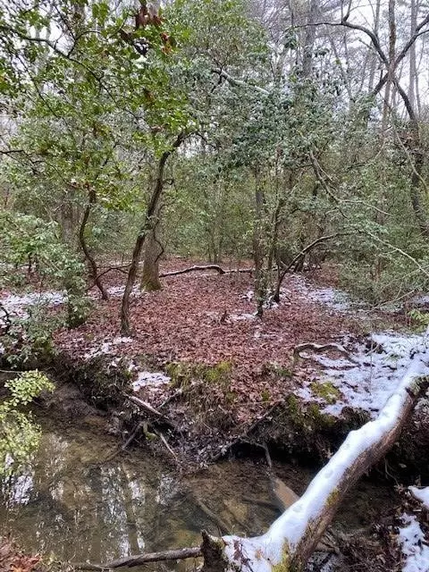 Gruetli Laager, TN 37339,5 Colony Road