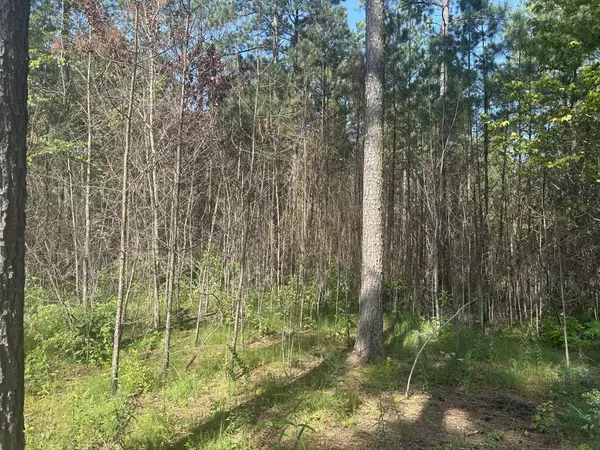 Guild, TN 37340,520 Buck Crossing Drive