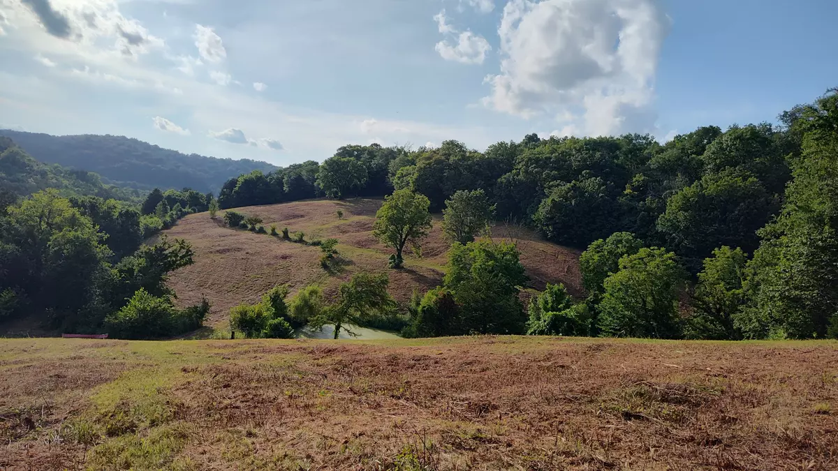 Woodbury, TN 37190,0 Hurricane Creek Rd