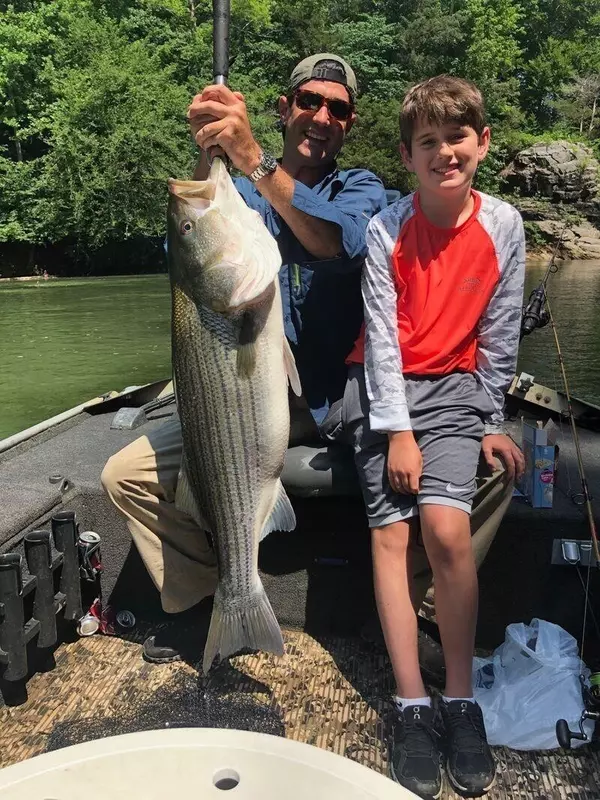 Ranger, GA 30734,580 White Graves Road