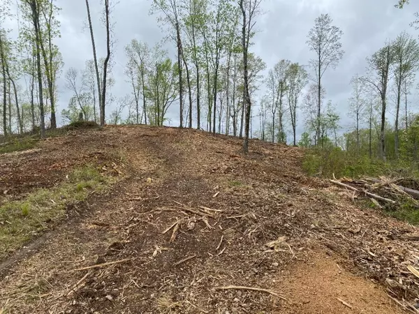 Stewart, TN 37175,56 Ridge Top Rd