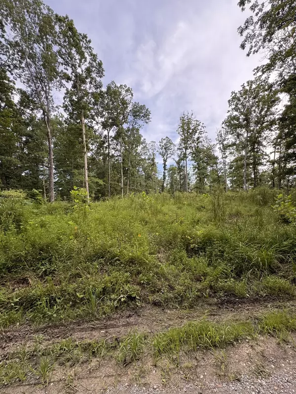 0 Old Lockhart Rd, Tennessee Ridge, TN 37178