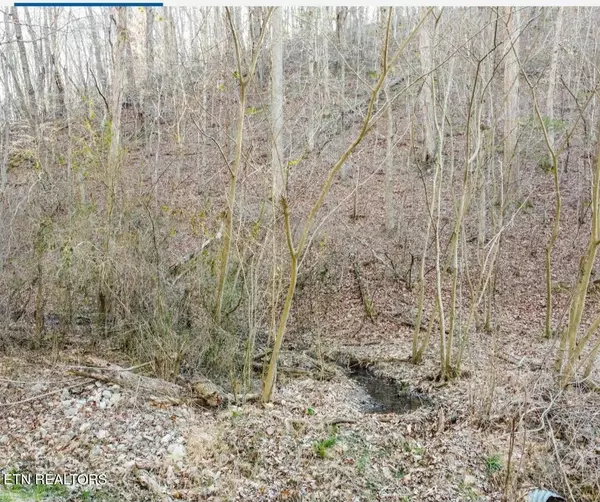Loudon, TN 37774,0 Cave Creek, 9.61 AC Rd