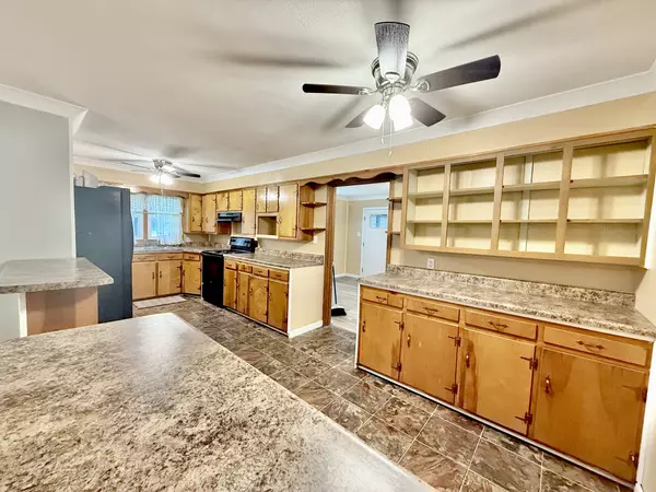 Springville, TN 38256,1520 Old Springville Rd