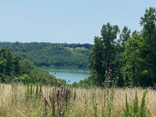 Baxter, TN 38544,0 Eli Ln