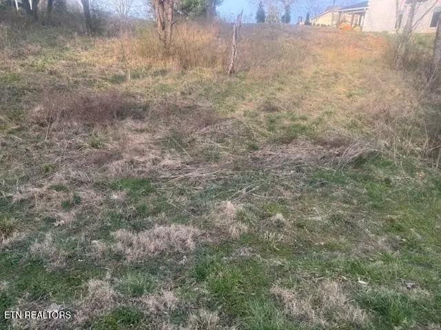 120 Chuniloti Way, Loudon, TN 37774