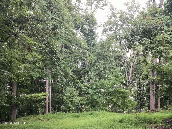 Rockwood, TN 37854,150 Loch Haven Drive