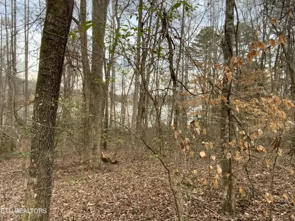 Rockwood, TN 37854,0 Coffey Circle