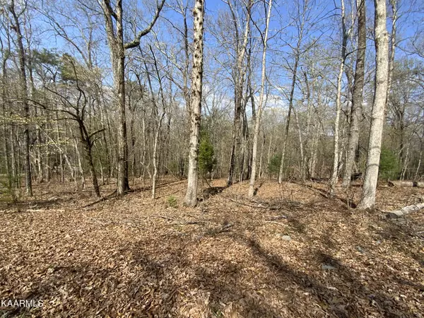 Rockwood, TN 37854,0 Rendezvous Road Lot #22