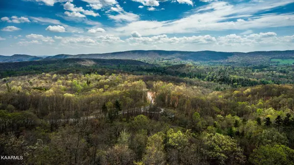 Harriman, TN 37748,0 Green Ridge Trails (Lot 41)
