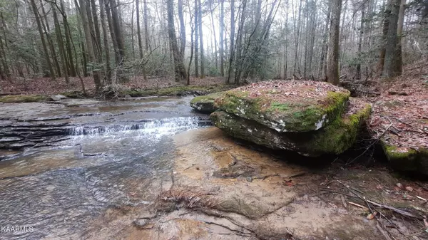 Harriman, TN 37748,440 Clifty Creek Rd