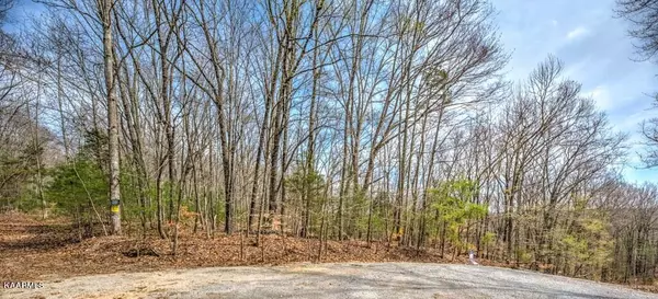 Rockwood, TN 37854,0 Clara Mae Drive