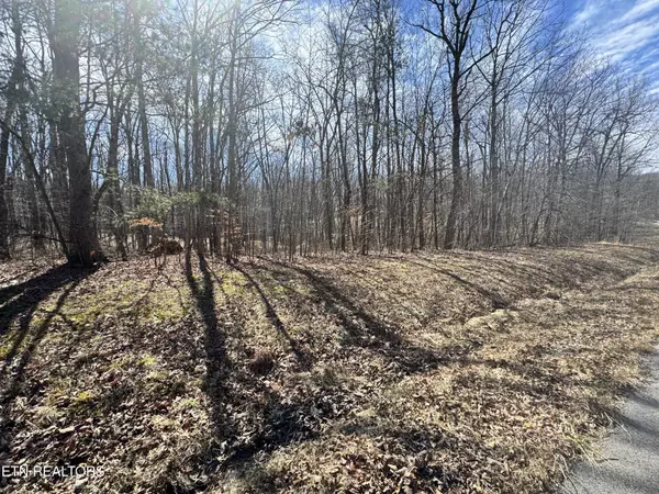 Monterey, TN 38574,0 Davidson Drive
