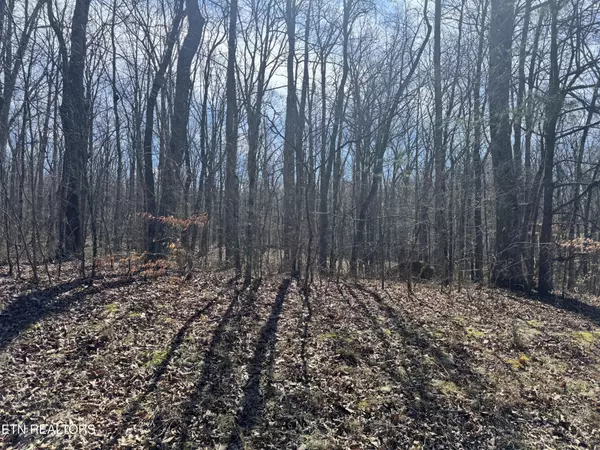 Monterey, TN 38574,0 Davidson Drive