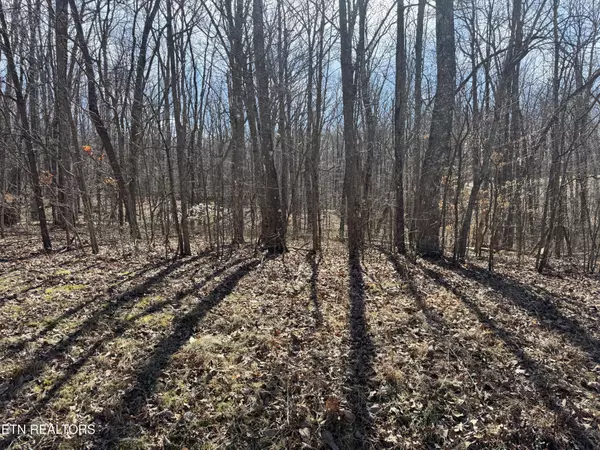 0 Davidson Drive, Monterey, TN 38574
