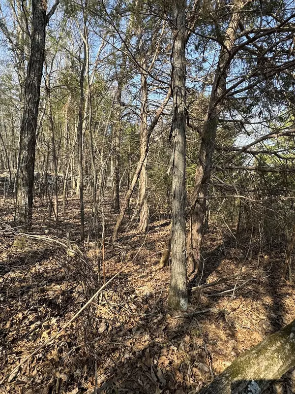 Lascassas, TN 37085,0 Cainsville Rd