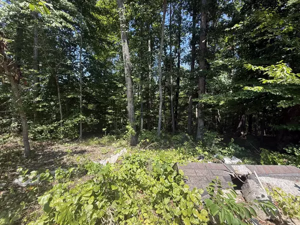 Joelton, TN 37080,0 Trailwood Ct