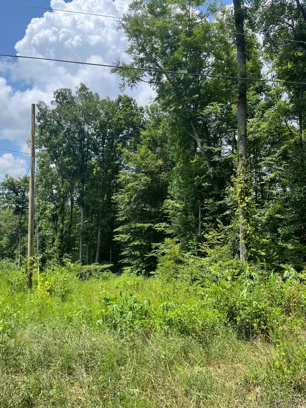 Jamestown, TN 38556,1 Tomahawk Rd