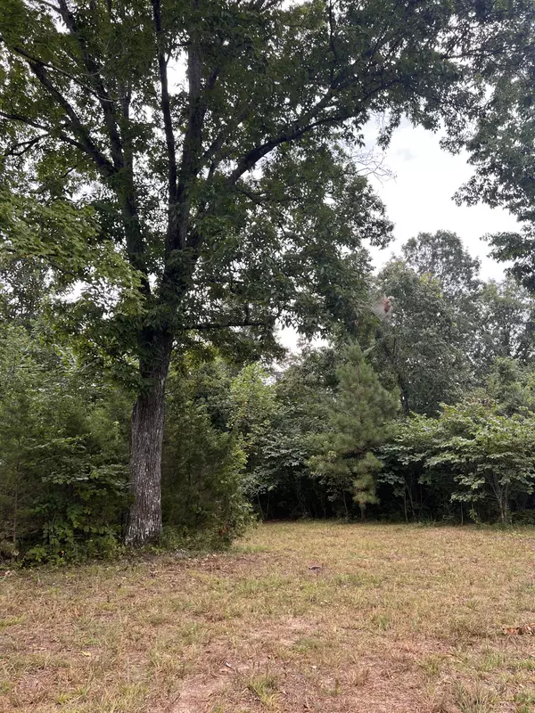 Lyles, TN 37098,0 high Rise Dr