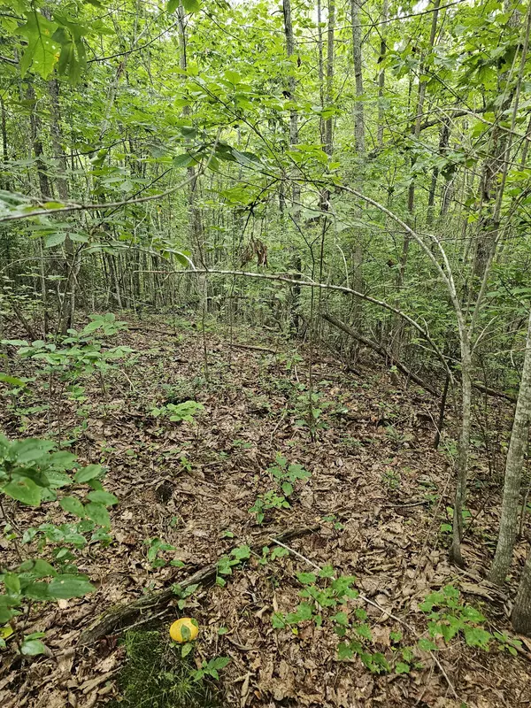 Coalmont, TN 37313,0 Company Farm Rd