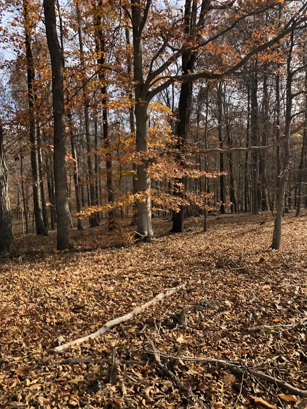 Portland, TN 37148,0 Keytown Road
