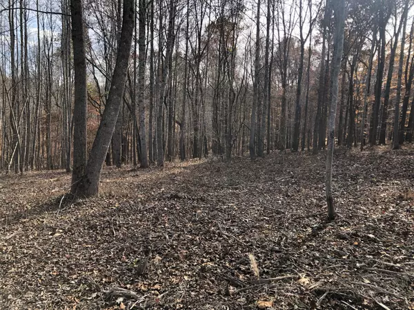Portland, TN 37148,0 Keytown Road