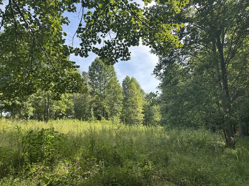 0 Keytown Road, Portland, TN 37148