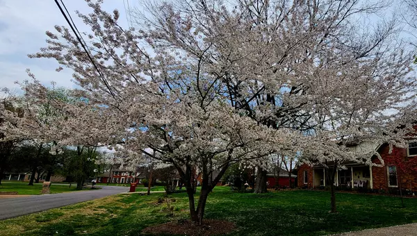 Hendersonville, TN 37075,129 W Ridge Dr
