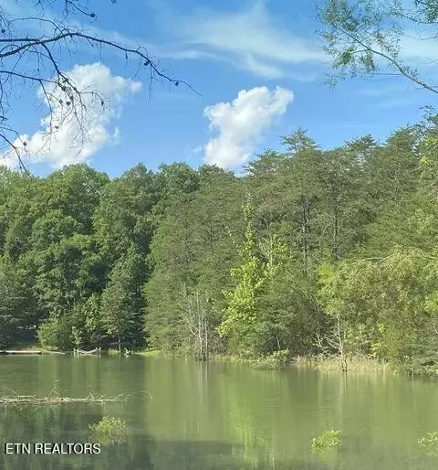8 Pleasure Rd, Sevierville, TN 37876