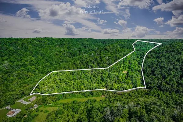 392 Possum Hollow Rd, Dowelltown, TN 37059