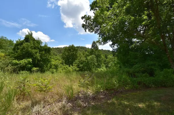 Decatur, TN 37322,0 Espalier Drive