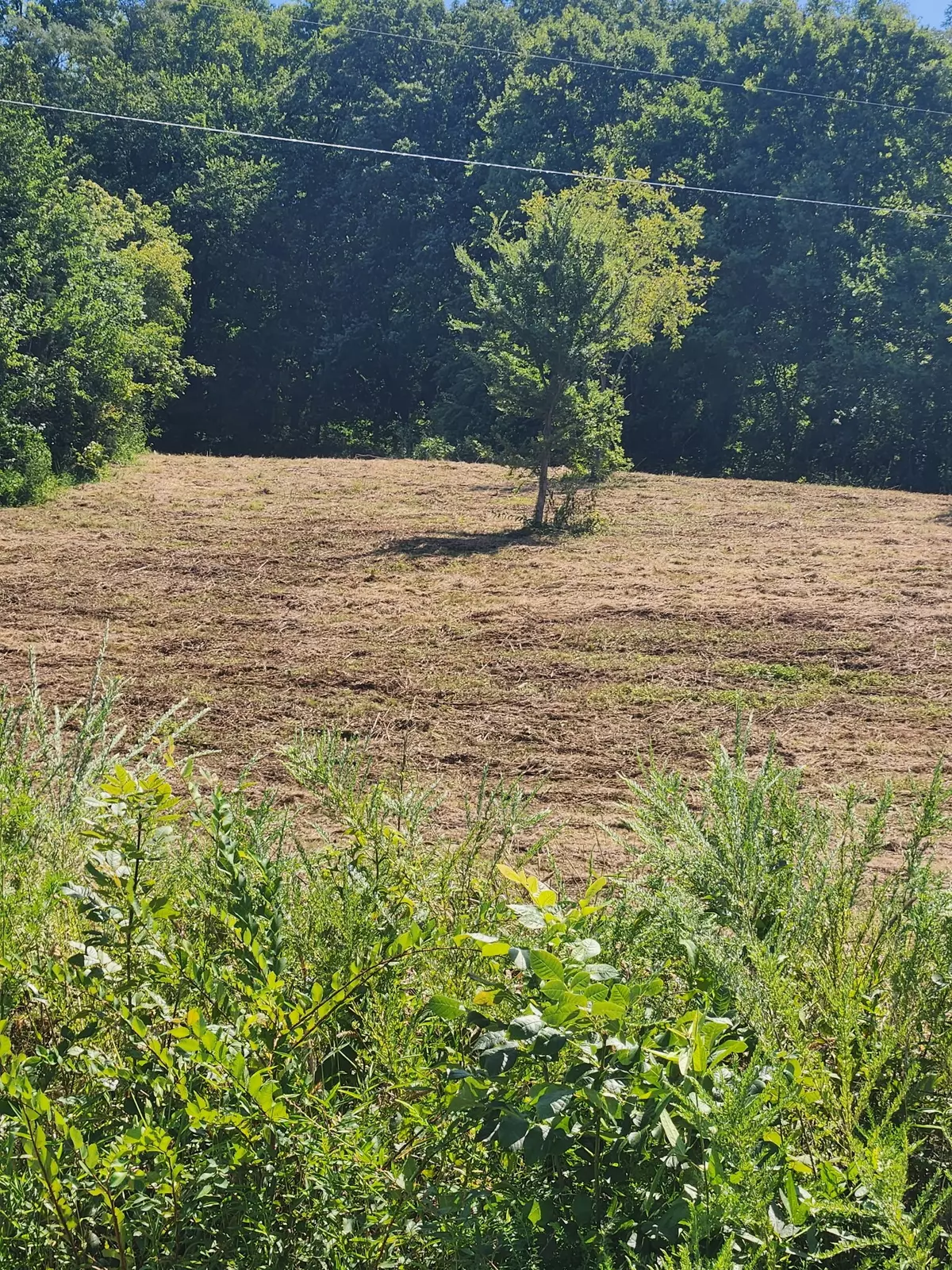 Gordonsville, TN 38563,0 Hix Road