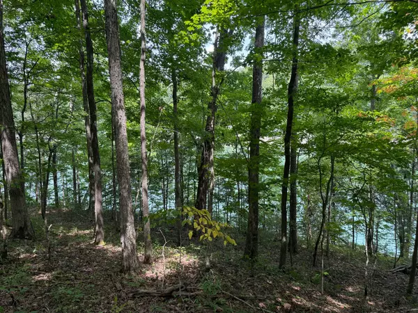 Bronston, KY 42518,0 Northshore Dr