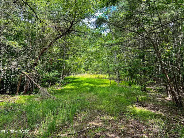 Rockwood, TN 37854,0 LOT 321 Bluegreen Way