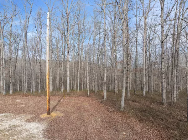 Hurricane Mills, TN 37078,0 Wild Daisy Ct