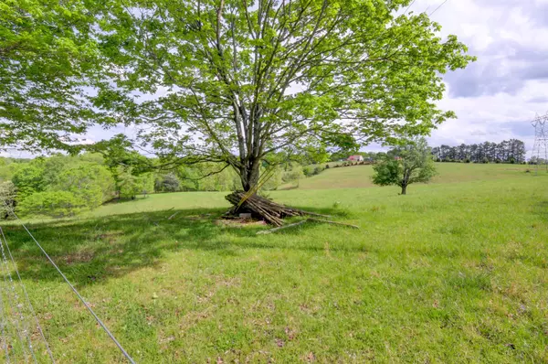 Palmyra, TN 37142,3915 Oak Ridge Rd