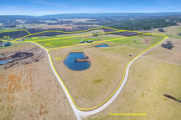 Pikeville, TN 37367,0 Cane Creek Lot 1 Road