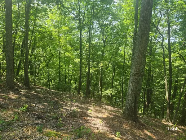Smithville, TN 37166,4 Savannah Dr