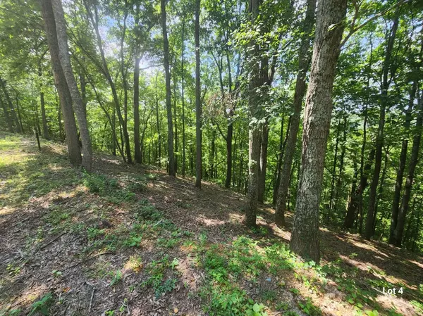 Smithville, TN 37166,4 Savannah Dr