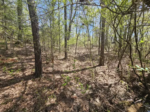 Parsons, TN 38363,5005 Bunches Chapel Rd