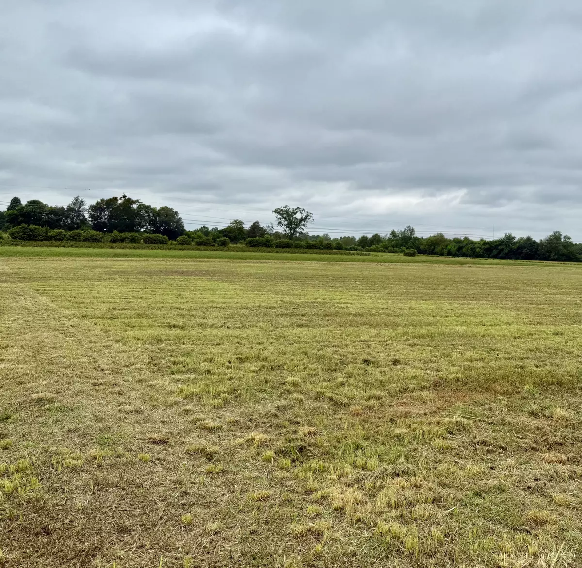 Winchester, TN 37398,0 Rowe Gap Road