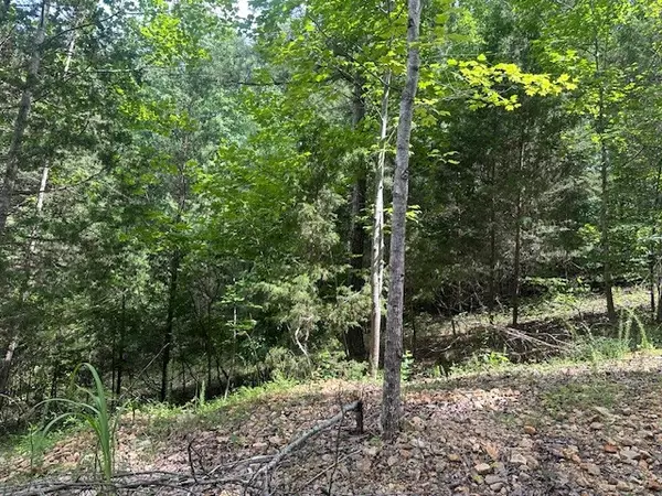 Nunnelly, TN 37137,11 Wildwood Lane