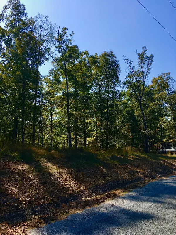 Mc Ewen, TN 37101,0 Hidden Highlands ct