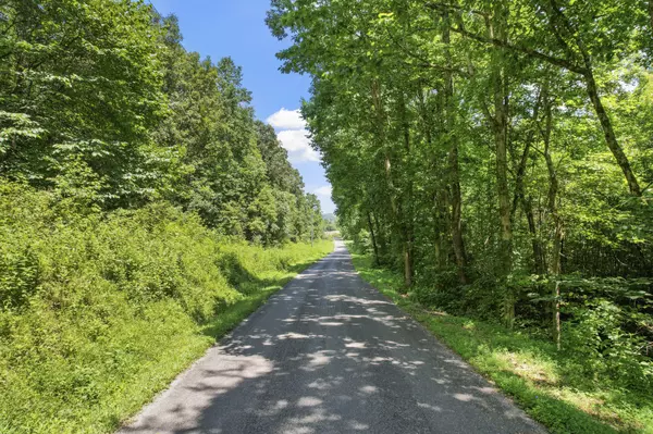 Niota, TN 37826,0 County Road 280