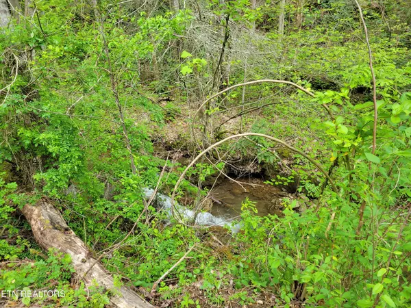 45 Alpine Drive, Sevierville, TN 37876