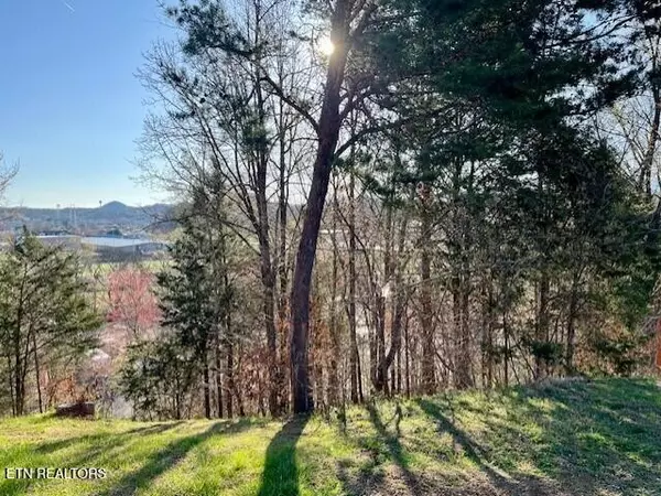 Sevierville, TN 37863,32 Blueberry Ridge Way
