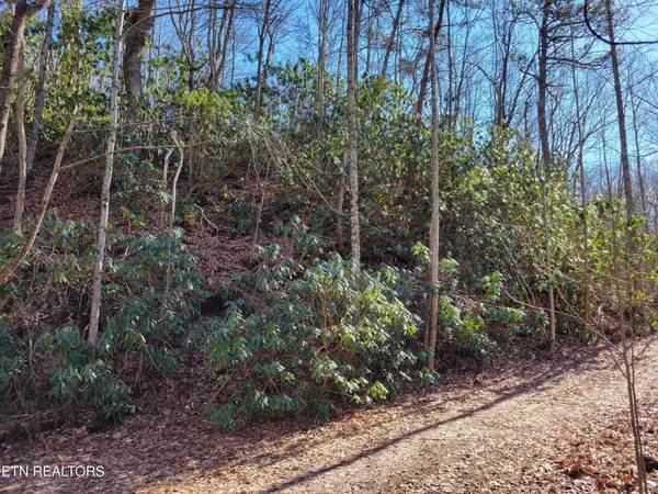 Sevierville, TN 37876,0 John Sevier Drive